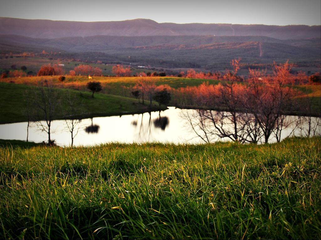 Casa Rural El Cabezo San Martín de Trevejo Zewnętrze zdjęcie