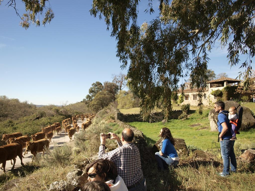 Casa Rural El Cabezo San Martín de Trevejo Zewnętrze zdjęcie